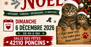 Marché de Noël solidaire : Un Noël doux pour nos animaux  !