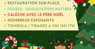 MARCHE DE NOEL DAUMERAY 2026