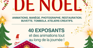 Marché de Noël d'Eaunes (31)
