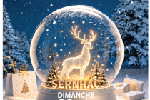 Marché de Noël 2026