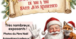 Grand Marché de Noël de la Verpillière