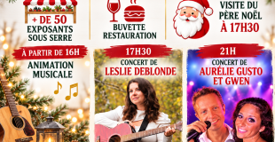 Marché de Noël à la ferme