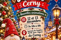 MARCHE DE NOEL DE CERNY (91)
