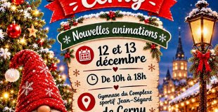 MARCHE DE NOEL DE CERNY (91)
