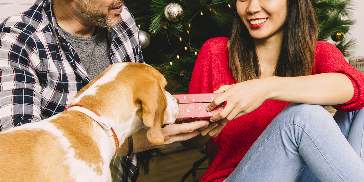 10 idées de cadeaux de Noël offrir à son chien !