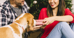 10 idées de cadeaux de Noël offrir à son chien !