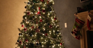 Le sapin de Noël : origine et importance dans une maison